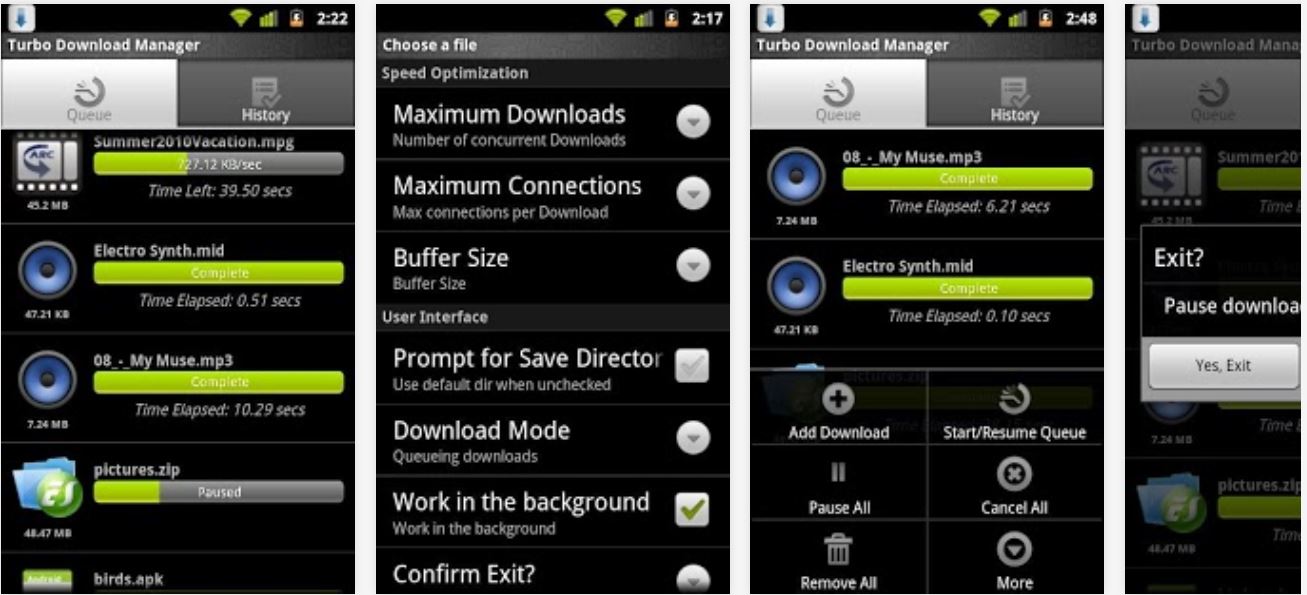 Download Manager For Android Pro